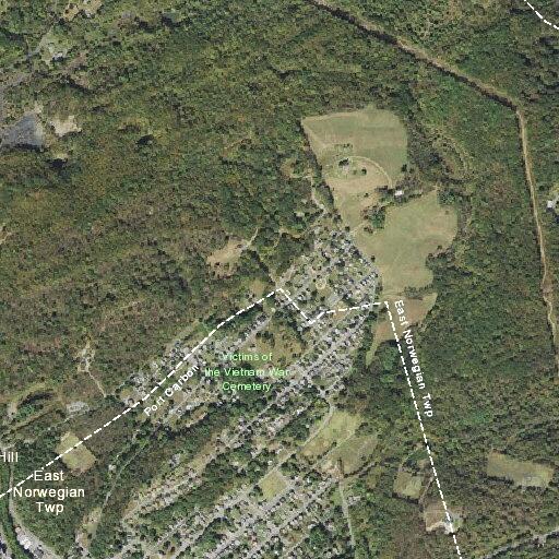 Person fallen near Apple Street in Port Carbon