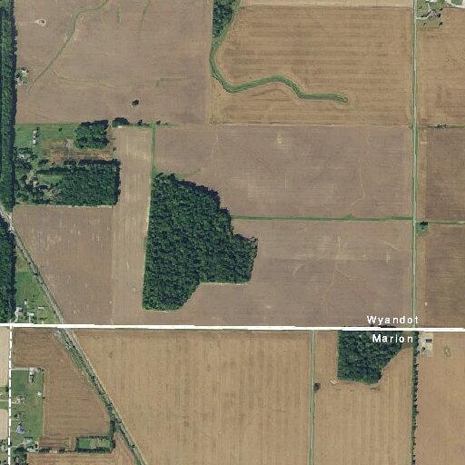 Caller reports numerous shell casings found in roadway