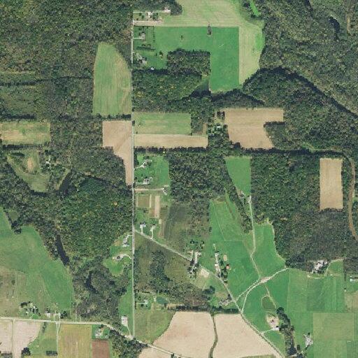 Female having loss of consciousness receiving CPR in Ohio