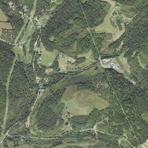 Traffic access adjusted due to tree and downed lines