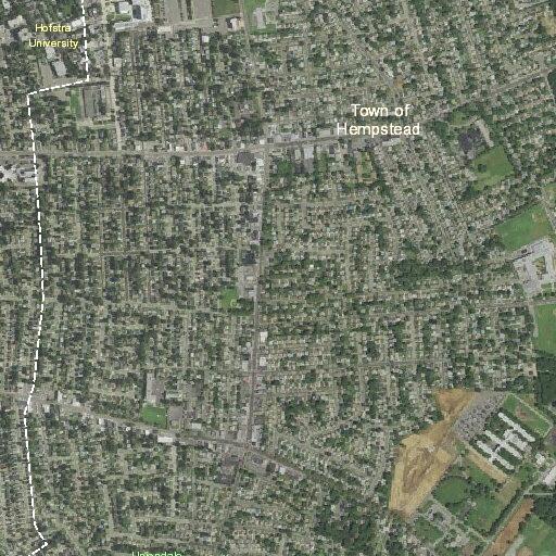 Person with difficulty walking at Cedar Street Park