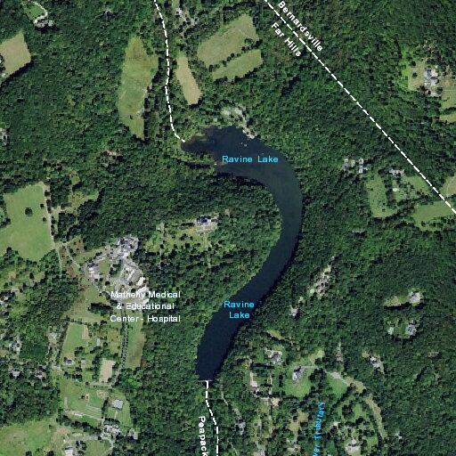 Large tree limb blocking Lake Road intersection