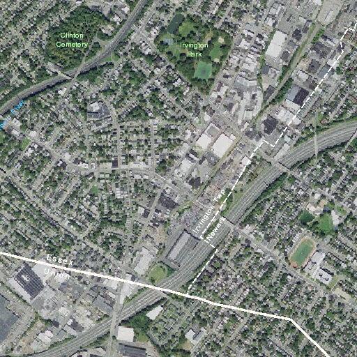 Female having possible stroke near Chestnut Avenue
