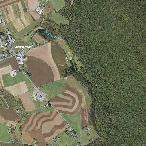 Tree briefly blocking Catawissa Road near dairy