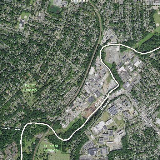 Animal bite reported near Girard Avenue in Chatham