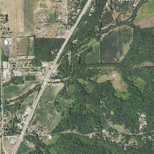 Tree blocking roadway on Spring Creek Road