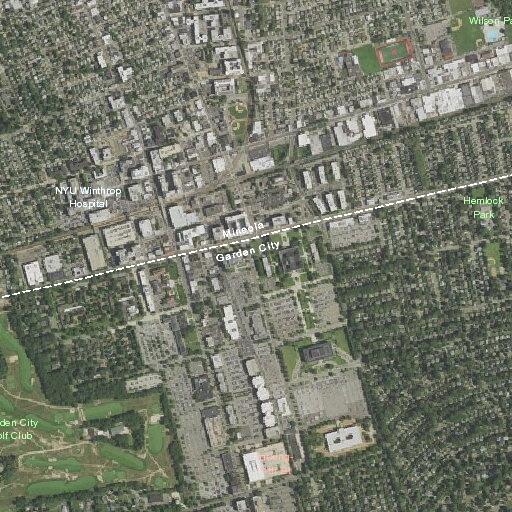 Older man appearing faint near Old Country Road