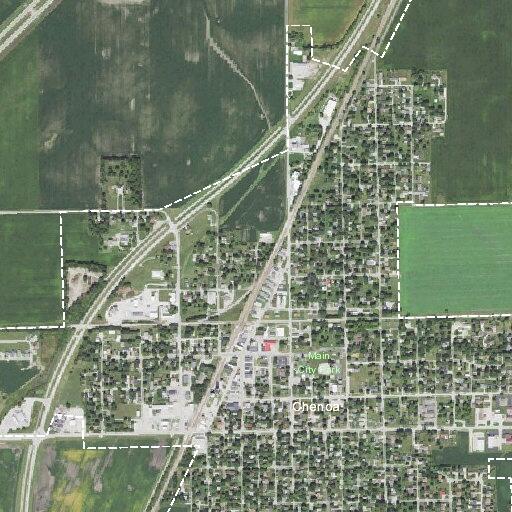 Elderly man needs psychiatric evaluation in Chenoa