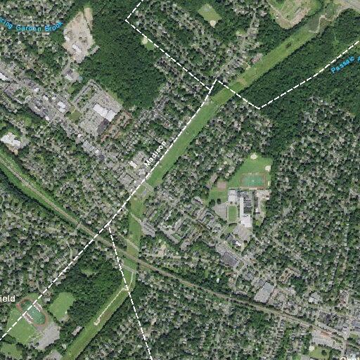 Person with laceration injury on Lafayette Avenue