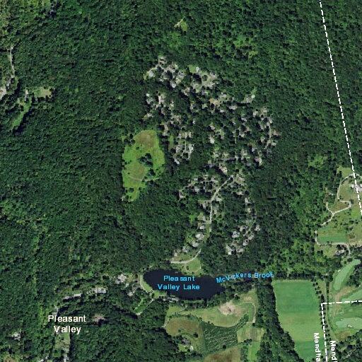 Tree partially blocking Pleasant Valley Road