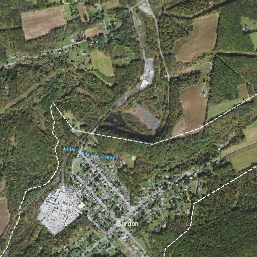 Low wire and small brush fire on McKnight Street
