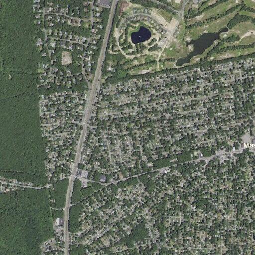 Male bitten by dog near Brushwood Drive in Shirley