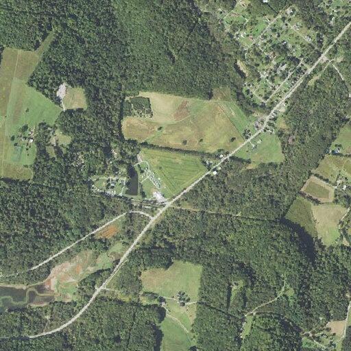 63-year-old man reports calf pain at campground