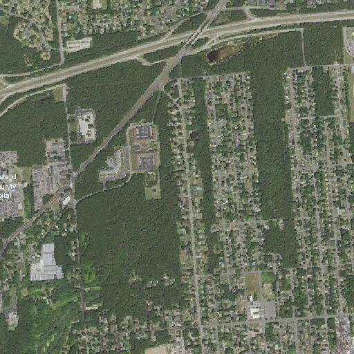 Loose bee reported on Narragansett Avenue