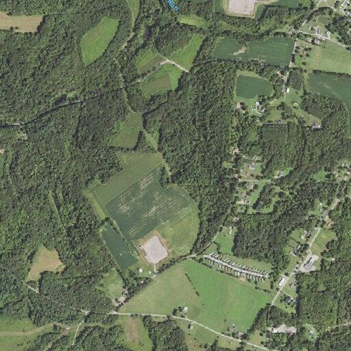 58-year-old man has shortness of breath at rescue ranch