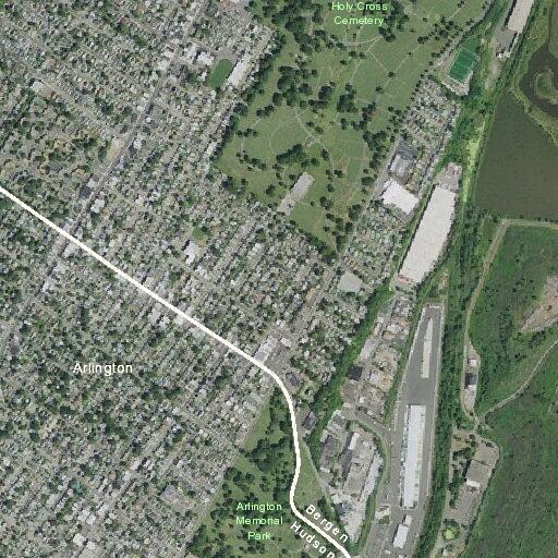Person with diabetic problems near Stratford Place, North Arlington