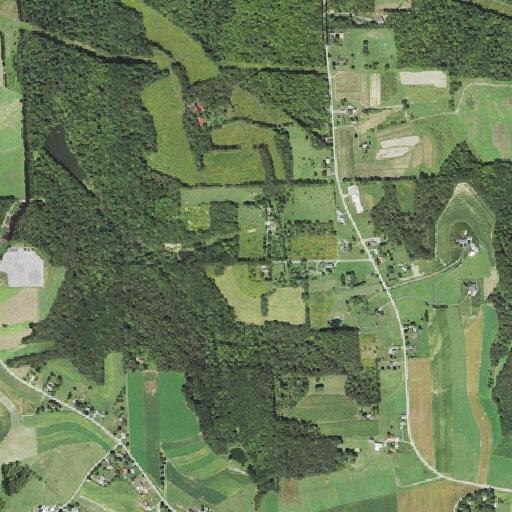 Man with Parkinson's unable to hear and urinate in PA