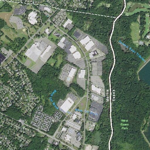 Person with altered mental status at Swamp Park