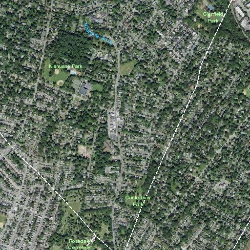 Person checking car doors and backyards on Ridgewood
