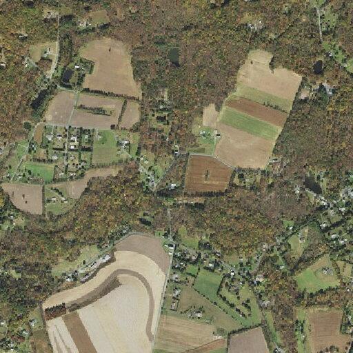 Dog struck by vehicle on West Scenic Drive