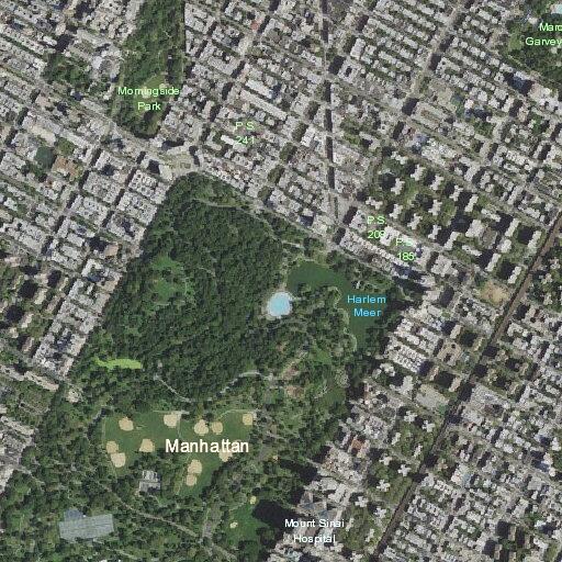 Male with leg pain near pool in New York