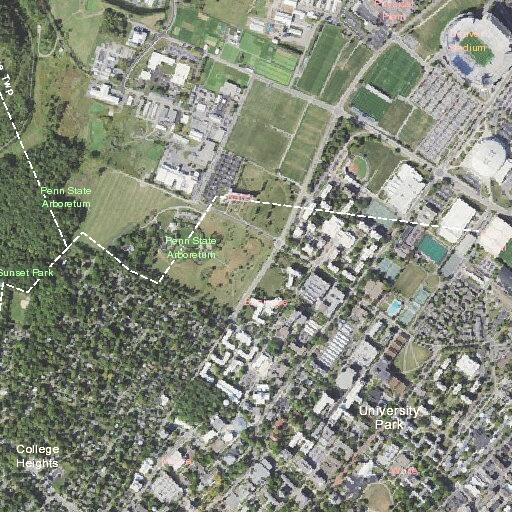 Woman with abdominal pain at university campus hub