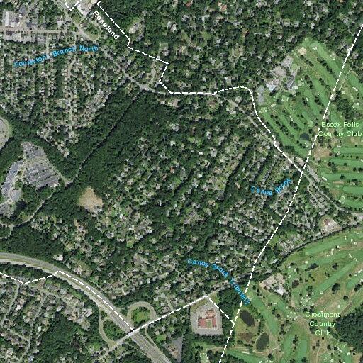 Man with severe back pain near Laurel Avenue in Roseland