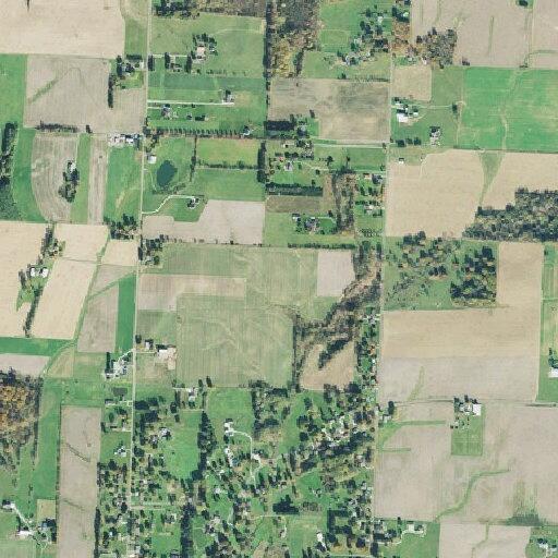 Possible suicidal person near Maple Grove Avenue NE