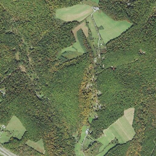 Downed high voltage lines on Laurel Run Road
