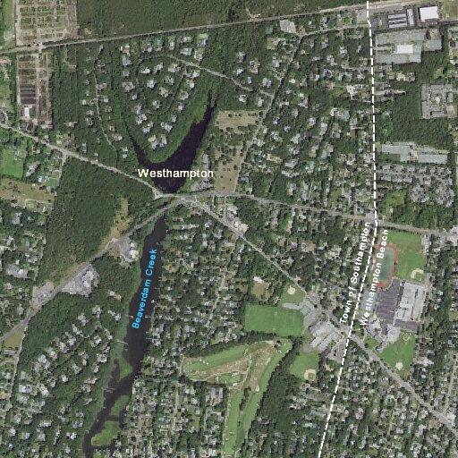 Loose dog chasing people in Westhampton