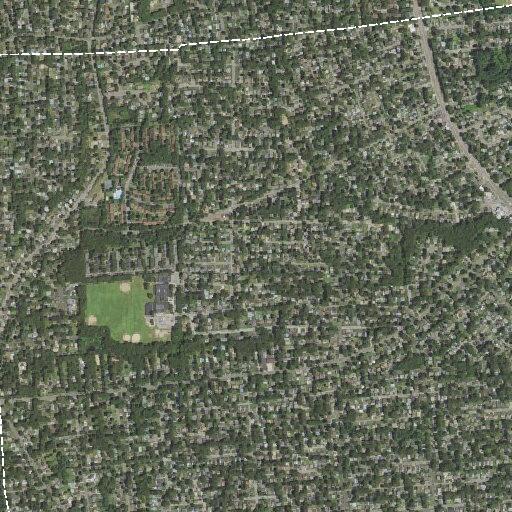 Man off medication requires rescue near Ronkonkoma