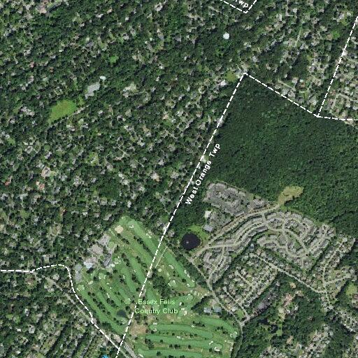 Person suspected of having a stroke near Essex Fells