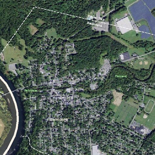 81-year-old female with near fainting in Belvidere