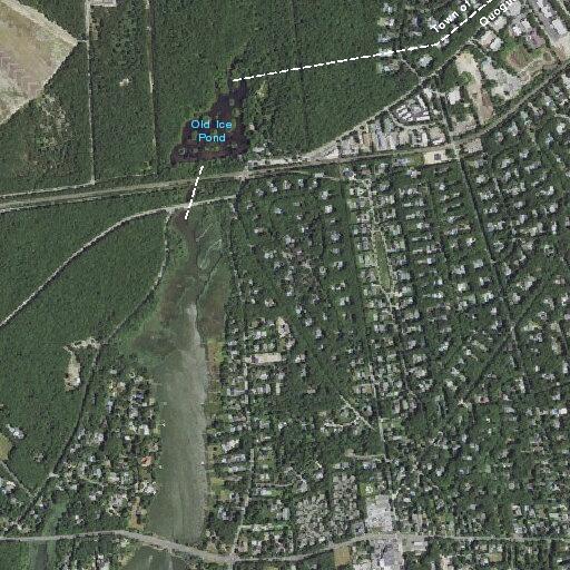 Report of missing teenage girl near Hatcher Road, Quogue