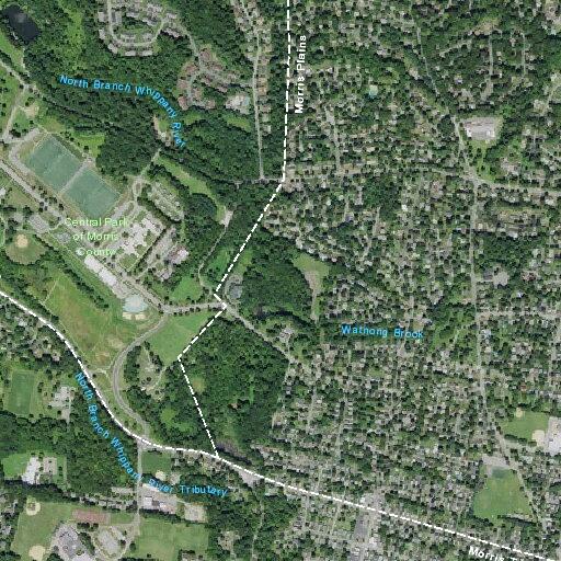 Person experiencing chest pain in Morris Plains