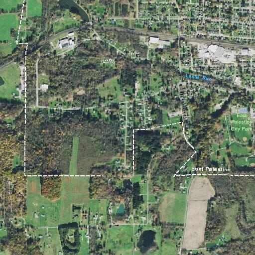 82-year-old female dizzy with fever at Carbon Hill Road