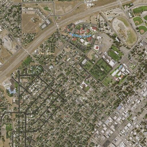 Dispute between dogs near 1st Street in Elko