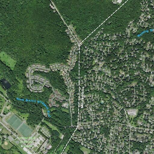 Accidental 911 call on Cutler Road