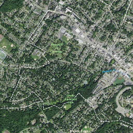 Elderly man falls near pond with minor cuts