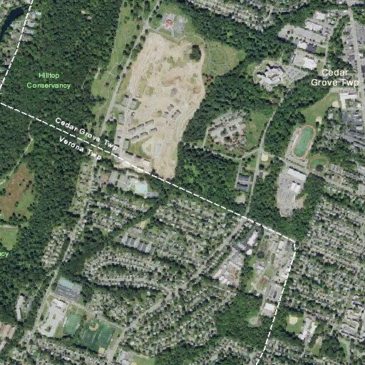 23-year-old female with allergic reaction in Verona
