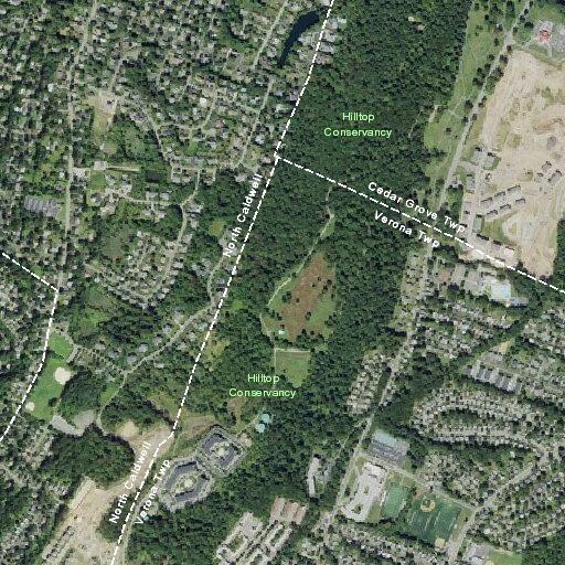 88-year-old male fall victim alert with no head injury