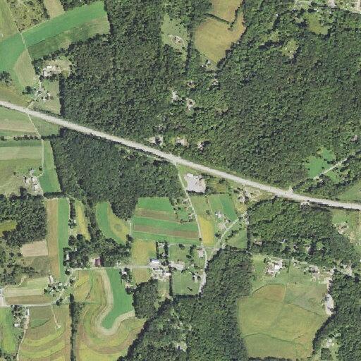 21-year-old male having seizure at McGrady Road