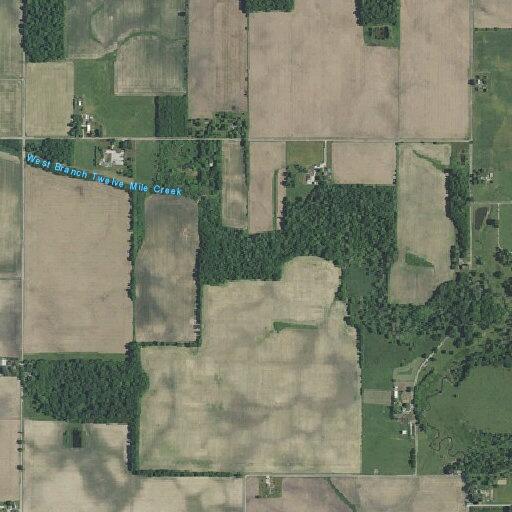 Loose goats reported near East (number withheld) North in Twelve Mile