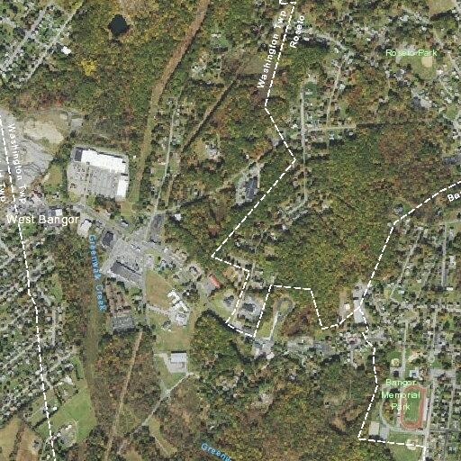 70-year-old female falls and strikes head at home