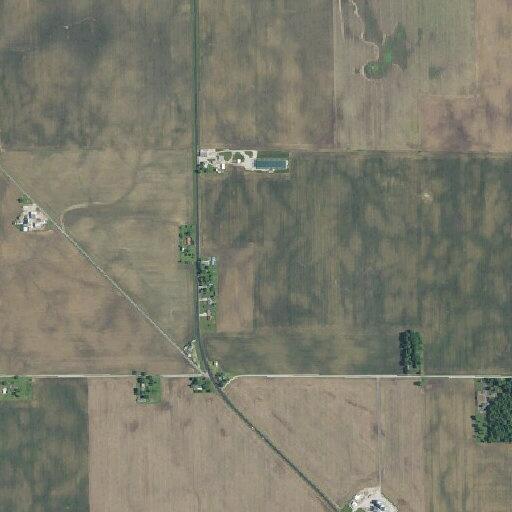 Caller reports dog fight at rural address
