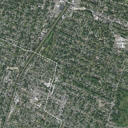 Tree debris cleared and road reopened at intersection