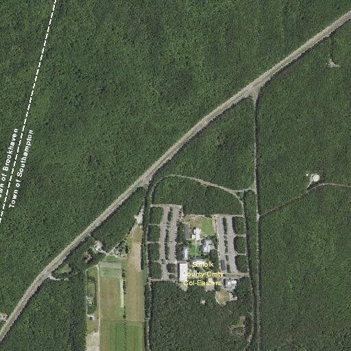 Caller reports lost earring in Peconic building