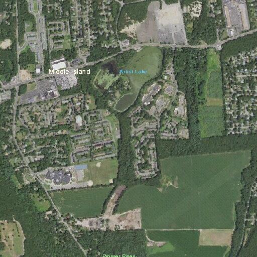 Woman suffering food poisoning at Artist Lake Drive