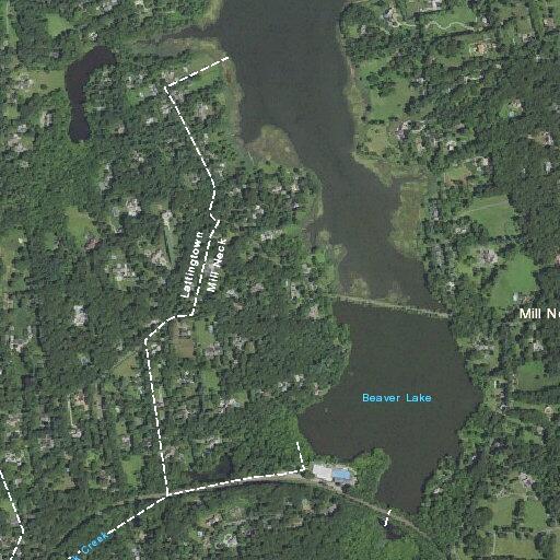 Female fell at residence in Locust Valley