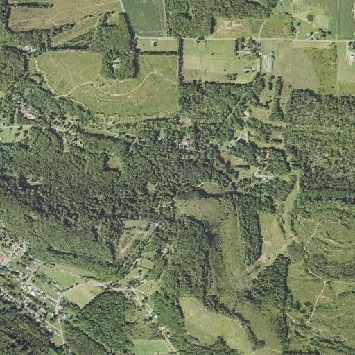 Woman experiencing fainting episodes at Johnsonburg Rd